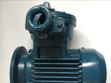 怎么選對粉塵防爆電機(jī)？