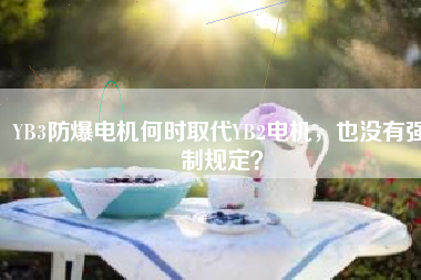 YB3防爆電機(jī)何時(shí)取代YB2電機(jī)，也沒有強(qiáng)制規(guī)定？